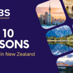 Top 10 Reasons to Study in New Zealand in 2025